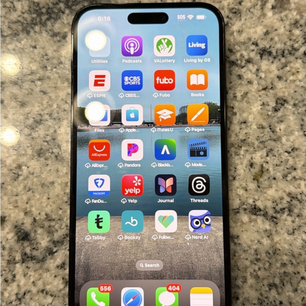 SOLD-Unlocked IPhone 14 Pro Max (256 GB)